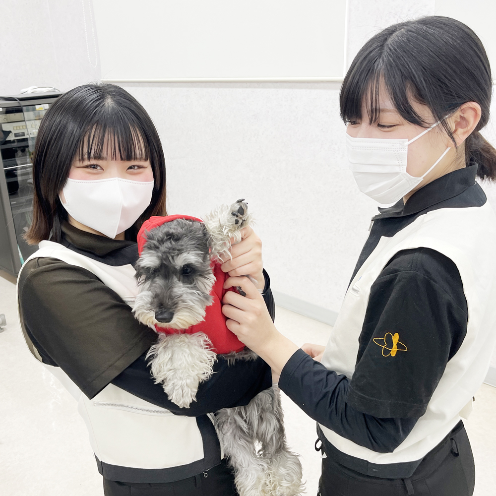 モデル犬の写真撮影会PART①